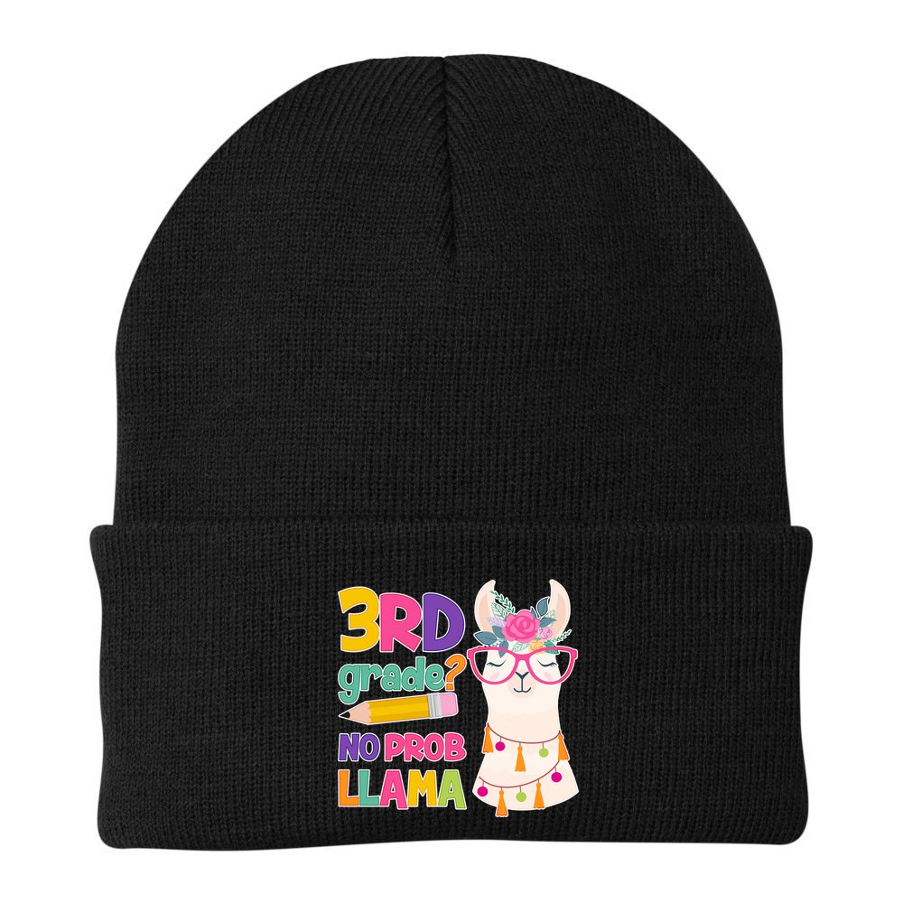 4th Grade? No Prob Llama Beanie