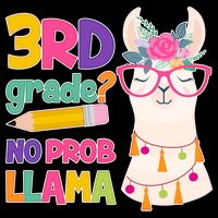 4th Grade? No Prob Llama Mousepad