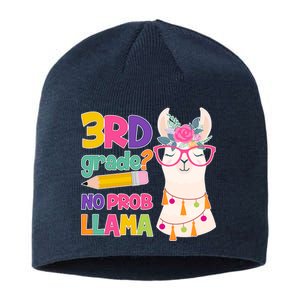 4th Grade? No Prob Llama Sustainable Beanie