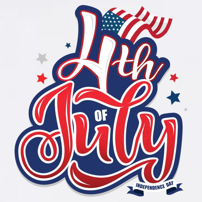 4th of July Celebrate USA Independence Day Womens T-Shirt