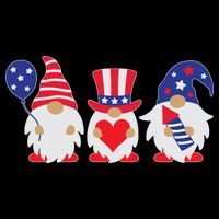 4th of July Lawn Gnomes USA Hoodie
