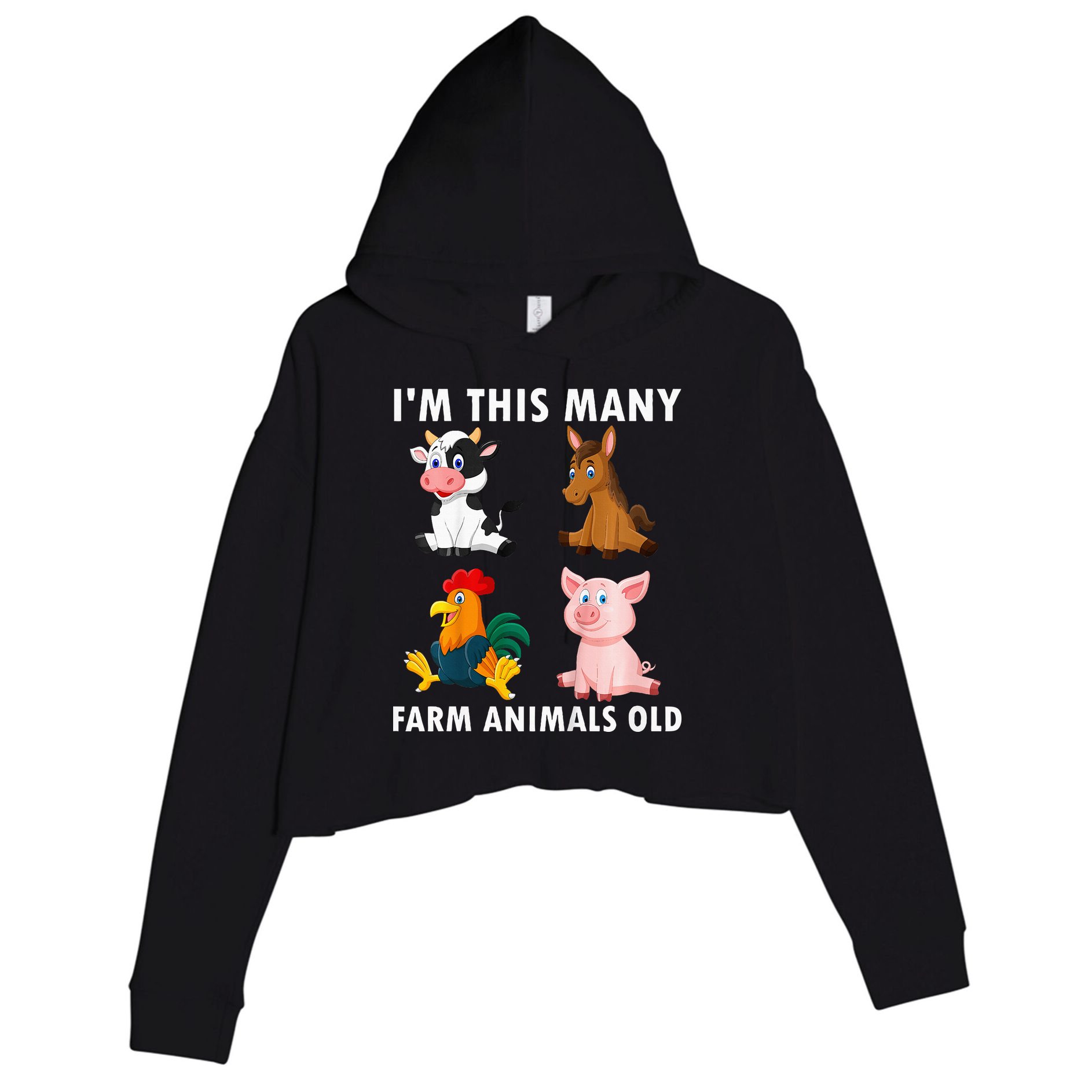 4 Year Old Boy Farm Animals Old 4th Birthday Crop Fleece Hoodie
