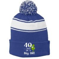 40 Years Old Kind Of A Big Dill Funny Gift Stripe Pom Pom Beanie