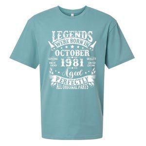 43 Years Old Legend Since October 1981 43rd Birthday Dad Sueded Cloud Jersey T-Shirt