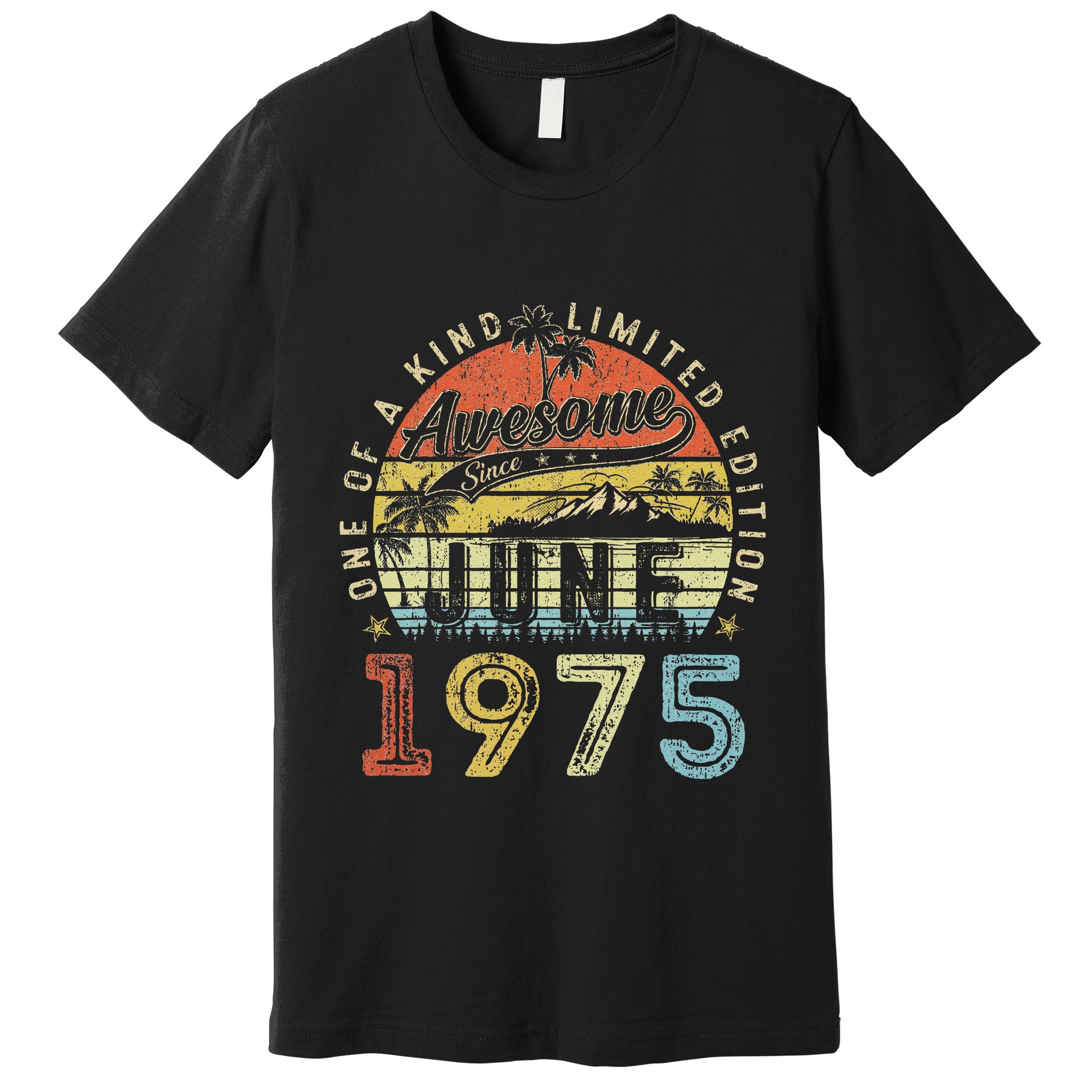 48 Year Old Awesome Since June 1975 48th Birthday Premium T-Shirt
