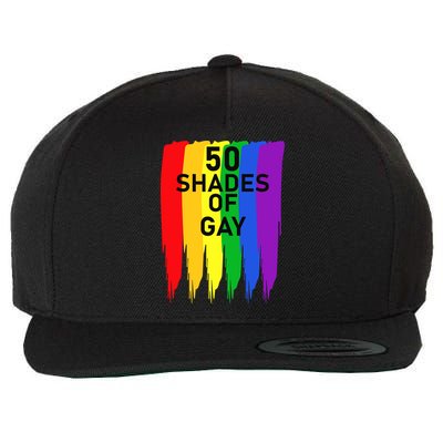 50 Shades Of Gay Wool Snapback Cap