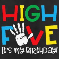 5yr 5th Birthday Funny High Five Its My Birthday Adult Drive Performance Visor