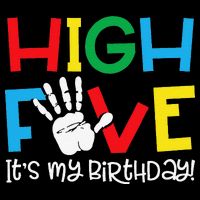 5yr 5th Birthday Funny High Five Its My Birthday 16 in Basic Backpack