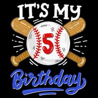 5th Baseball Birthday Party Sport Fan 5 Years Old Hoodie