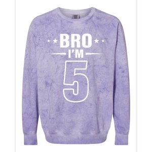 5th Birthday Boy Bro I’m 5 Year Old Fifth Birthday Party Colorblast Crewneck Sweatshirt