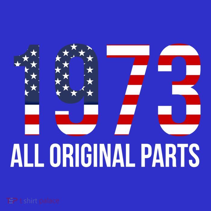 50th Birthday Design – 1973 Us America Flag Gift 16 in Basic Backpack