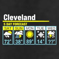 5 Day Forecast Funny Cleveland Adult Drive Performance Visor