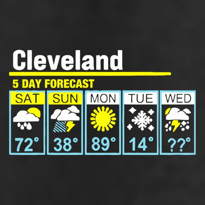 5 Day Forecast Funny Cleveland Adult Drive Performance Visor