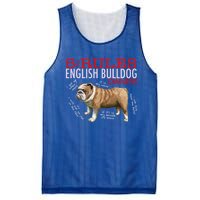 5 Rules For English Bulldog Owners Gift Mesh Reversible Basketball Jersey Tank