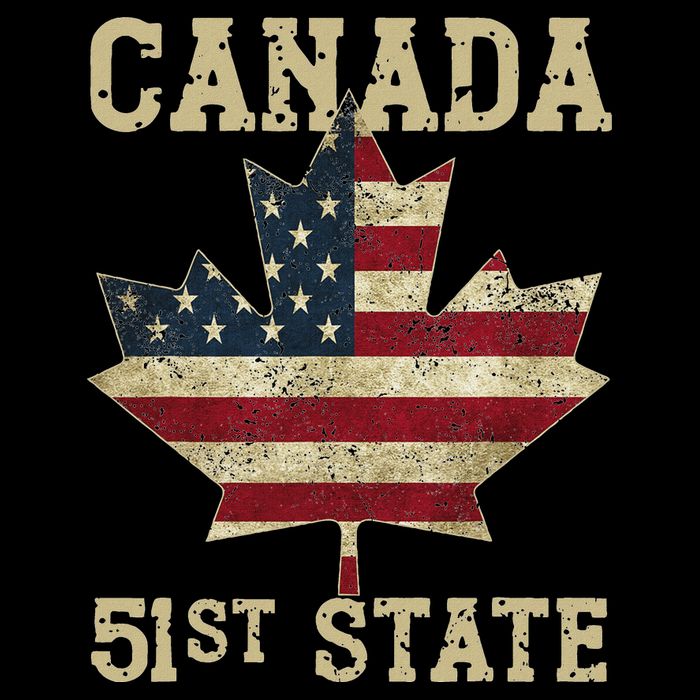 51st State Canada American Flag Canada 51st State Vintage Kids T-Shirt