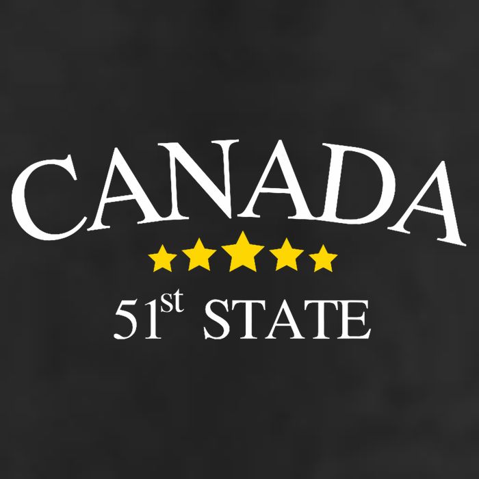 51st State Canada Adult Drive Performance Visor