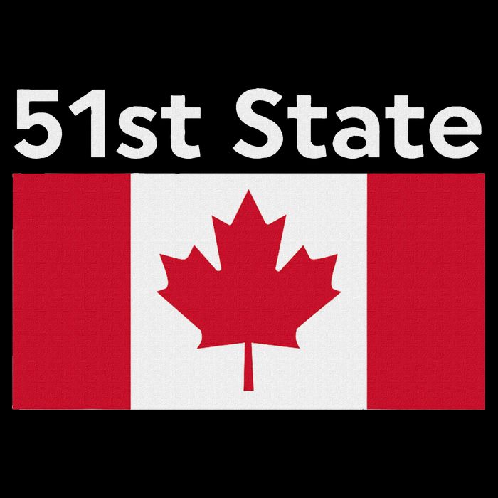 51st State Canada Funny Trump Drawstring Bag