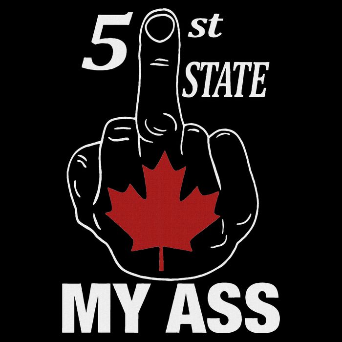 51 St State My Ass Funny Canada Middle Finger Wool Snapback Cap
