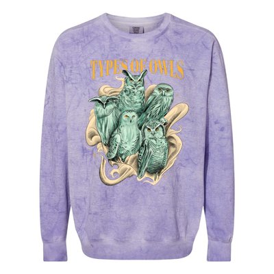 5 Types Of Owls Colorblast Crewneck Sweatshirt