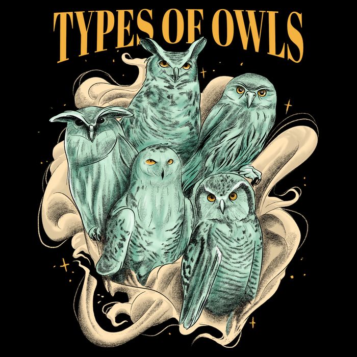 5 Types Of Owls Doggie Tank