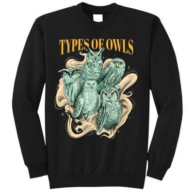 5 Types Of Owls Sweatshirt