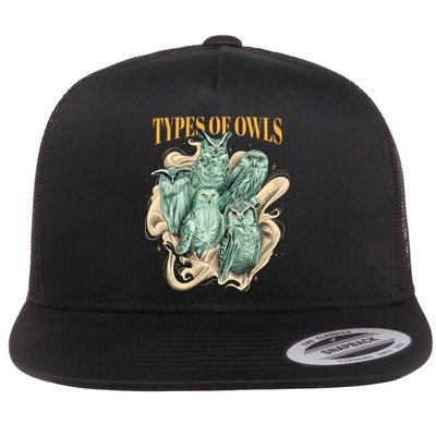 5 Types Of Owls Flatbill Hat