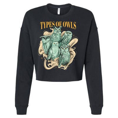 5 Types Of Owls Cropped Pullover Crew
