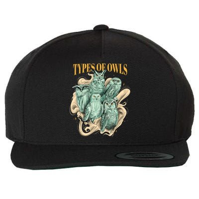 5 Types Of Owls Wool Snapback Cap