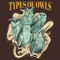 5 Types Of Owls T-Shirt