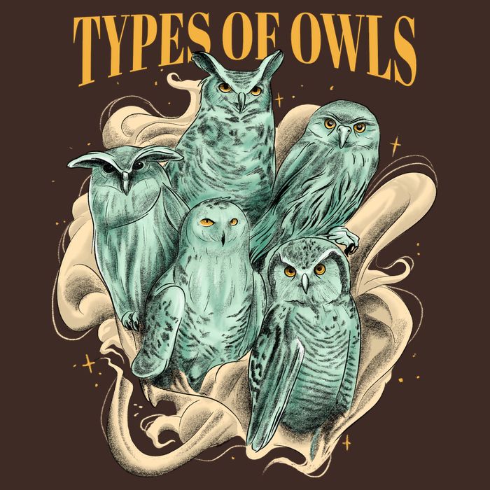 5 Types Of Owls T-Shirt