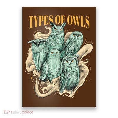 5 Types Of Owls Poster