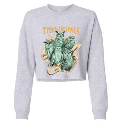 5 Types Of Owls Cropped Pullover Crew