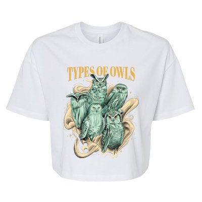 5 Types Of Owls Bella+Canvas Jersey Crop Tee