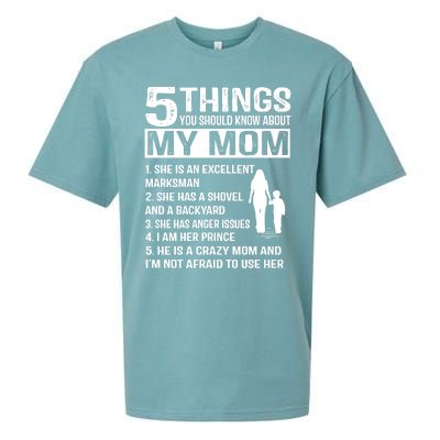 5 Things You Should Know About My Mom Funny Gift Sueded Cloud Jersey T-Shirt