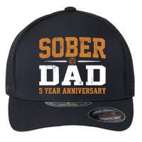 5 Years Sober Dad Aa Alcoholics Anonymous Recovery Sobriety Gift Flexfit Unipanel Trucker Cap