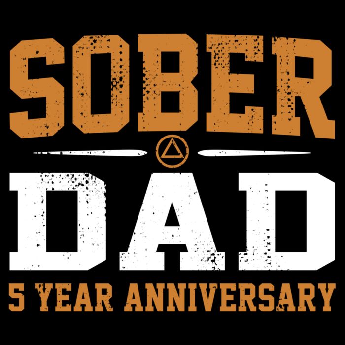 5 Years Sober Dad Aa Alcoholics Anonymous Recovery Sobriety Gift 7-Panel Snapback Hat