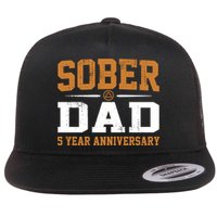 5 Years Sober Dad Aa Alcoholics Anonymous Recovery Sobriety Gift Flat Bill Trucker Hat