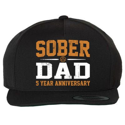 5 Years Sober Dad Aa Alcoholics Anonymous Recovery Sobriety Gift Wool Snapback Cap