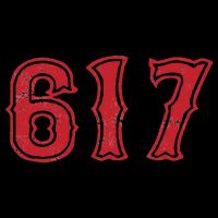 617 Area Code Boston Fan Baseball Flexfit Unipanel Trucker Cap