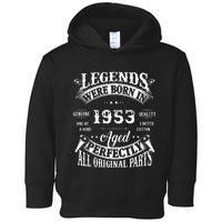 69 Birthday 1953 Gift Vintage 69 Birthday Toddler Hoodie