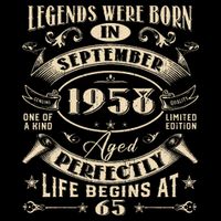 65th Birthday Gift 65 Years Old Legends Born September 1958 Hoodie