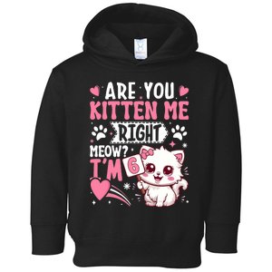 6th Birthday Girl 6 Year Old Kitten Cat Happy Bday Toddler Hoodie