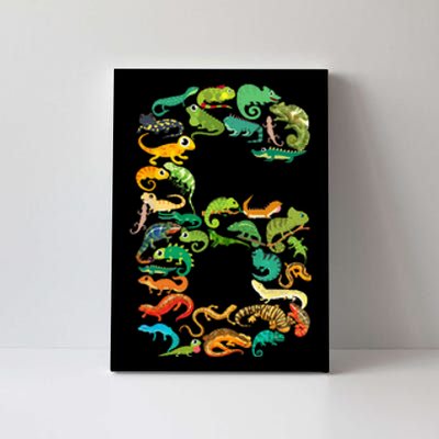 6th Birthday Reptiles Lizards Theme 6 Year Old Canvas