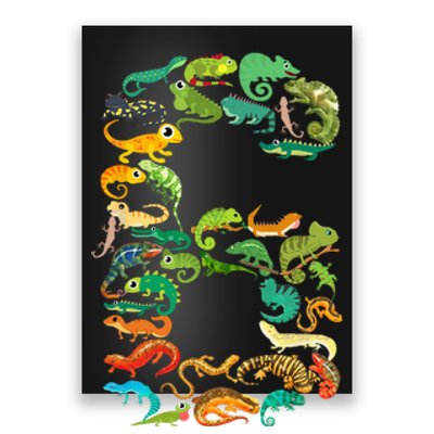 6th Birthday Reptiles Lizards Theme 6 Year Old Poster