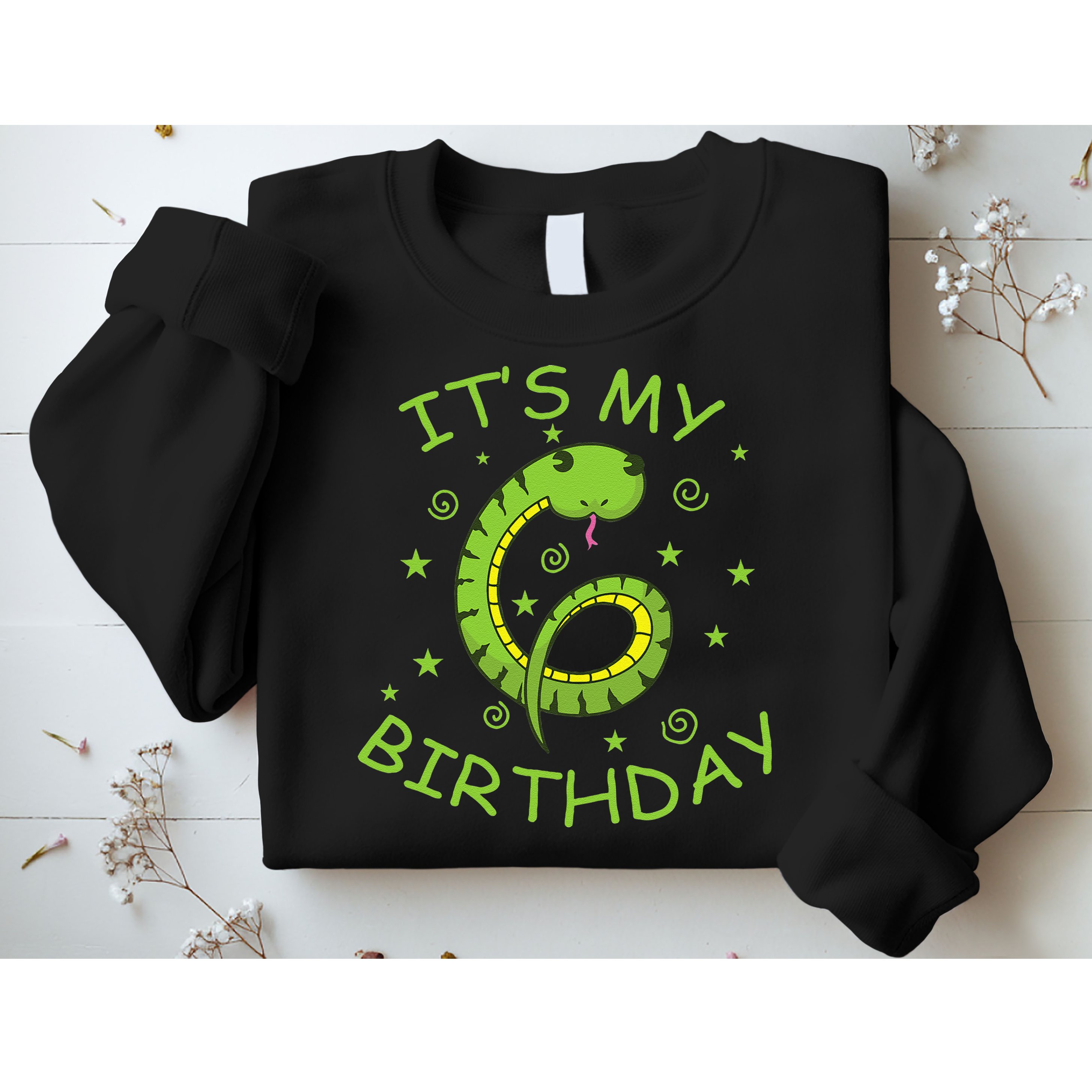6th Birthday Snake As Number Child Sweatshirt