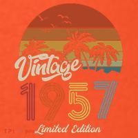 66th Birthday Vintage Limited Edition 1957 Button