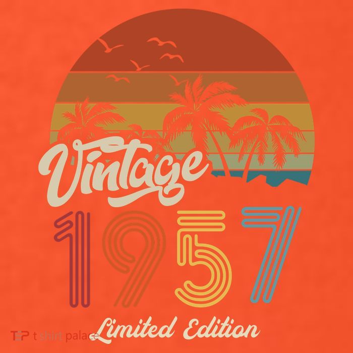 66th Birthday Vintage Limited Edition 1957 Button