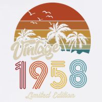65th Birthday Vintage Limited Edition 1958 Full Zip Hoodie