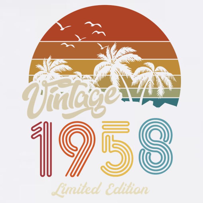 65th Birthday Vintage Limited Edition 1958 Full Zip Hoodie