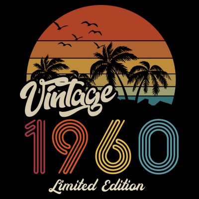 63rd Birthday Vintage Limited Edition 1960 T-Shirt
